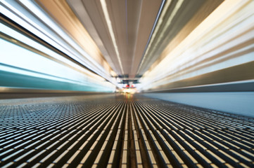 Moving at the Speed of Life