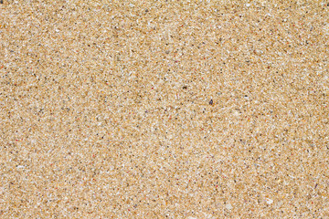 Closeup image of sand / Texture of beach sand for background