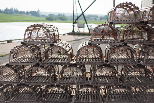 Rows of empty lobster pots on seaside dock