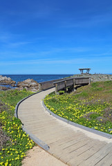 Walkway to a gazebo at Asilomar State beach in Pacific Grove, California