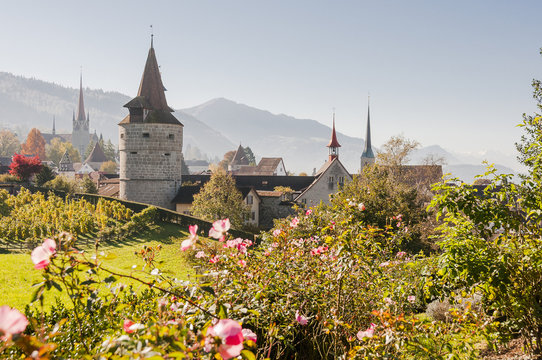 Stadt Zug, Zug, Altstadt, Stadt, Guggi, Rosengarten, Kapuzinerturm, Stadtmauer, Kirche, Zugersee, Spazierweg, Weinberg, Herbst, Schweiz
