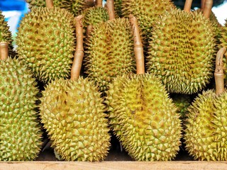 Durian in the market. Flavorit fruit from Thailand with nickname King of fruit.