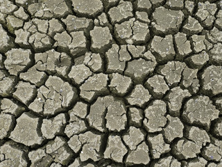 land cracked to little pieces