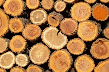 sawn folded logs