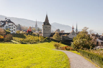 Stadt Zug, Stadt, Zug, Altstadt, Altstadth&auml;user, Kapuzinerturm, Weinberg, Rosengarten, Guggi, Spazierweg, Alpen, Zugersee, Herbst, Schweiz