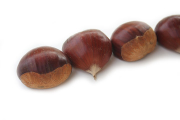 Castagne su sfondo bianco