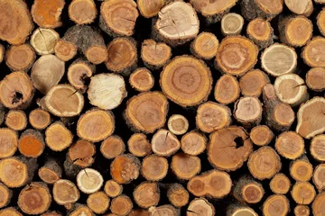 Möbelaufkleber sawn folded logs © alex vladis