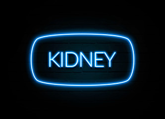 Kidney  - colorful Neon Sign on brickwall