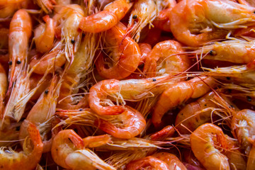 Close-up of boiled shrimps for background