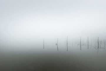 Misty morning by the lake