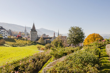 Obraz premium Stadt Zug, Stadt, Zug, Altstadt, Rosengarten, Guggi, Kapuzinerturm, Turm, Altstadthäuser, Stadtmauer, Zugersee, See, Herbst, Schweiz