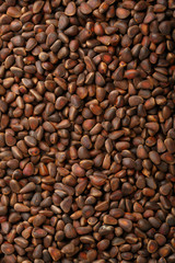Pine nuts background