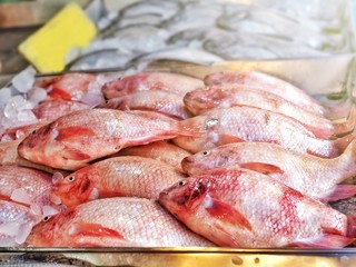 Fresh fish prepare for selling in fish market.