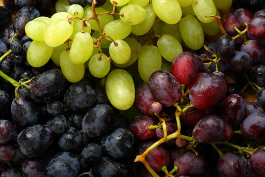 Fresh organic grapes
