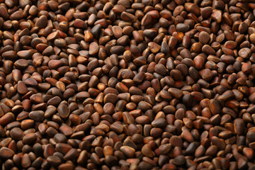Fresh pine nuts pattern