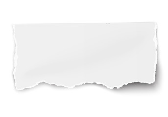 White vector paper tear with soft shadow isolated on white