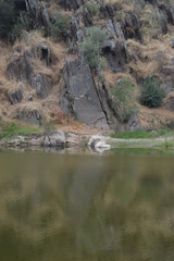 COA/DOURO VINHATEIRO