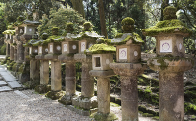 Stone lanterns, Nara, Japan