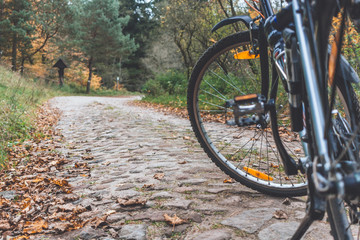 Fototapeta na wymiar Autumn cycling