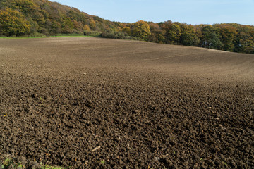 Landwirtschaft und Ackerbau