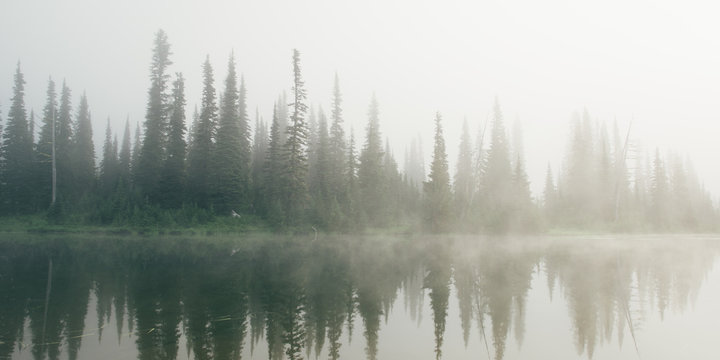 Foggy lake at Mt. Rainier