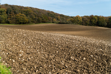 Landwirtschaft und Ackerbau