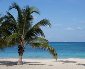 Fototapeta premium Sea Breezes