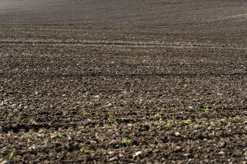 Landwirtschaft und Ackerbau