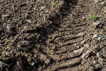 Landwirtschaft und Ackerbau