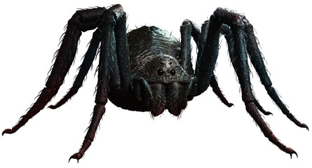 Giant spider
