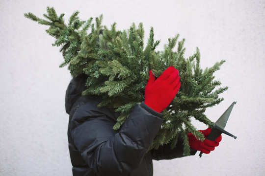 Man holding Christmas tree