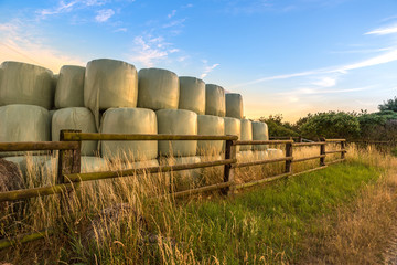 Ein großer Stapel in Folie verpackter Strohballen eingezäunt auf einem Feld