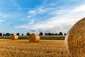 Strahlend blauer Himmel über einem Feld mit goldgelben Strohballen