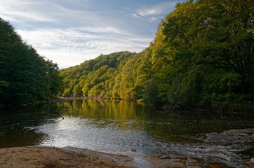 Obraz premium River valley at fall