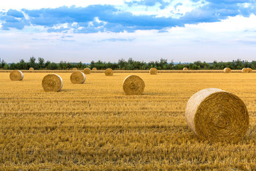 Bewölkter Himmel über einem Feld mit goldgelben Strohballen