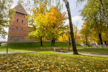 Lida Castle
