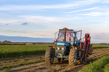 Blauer Traktor mit offener Tür auf dem Feld, kurz vor seinem Einsatz, Frontansicht