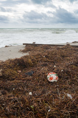 Beach with trash and seaweed. Plastic garbage washed up on the shore of the ocean or sea