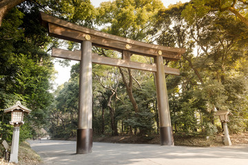 Torii of the entrance in Yoyogi Park of Tokyo