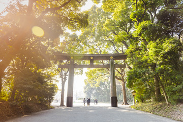 Sunny morning in Tokyo