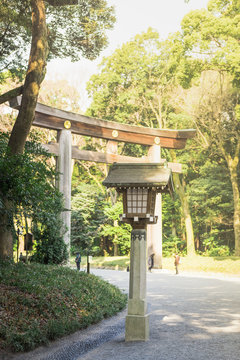 Environment in the Yoyogi park of Tokyo