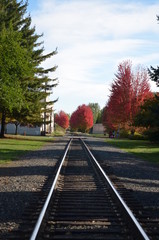Fototapeta premium Oregon Fall 3