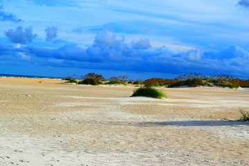 Oceanside amazement as the wind blows upon the sand.