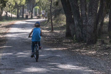 Fototapeta premium Walking the park on the bike