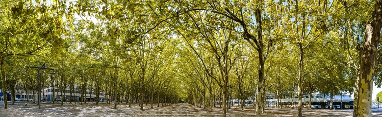 Panoramic view of the Espanade Quinconces in Bordeaux