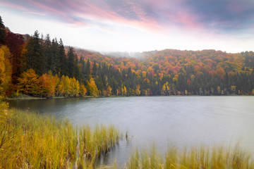Landscape of autumn forest near the lake with spectacular sky.Autumn at Lake Saint Ana,Romania