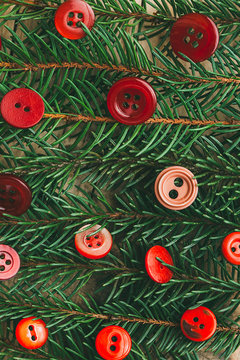Christmas decoration. Pine branches and red buttons