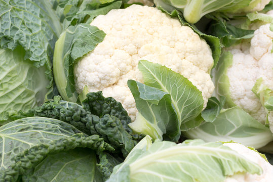 Cauliflower  on the counter of the market