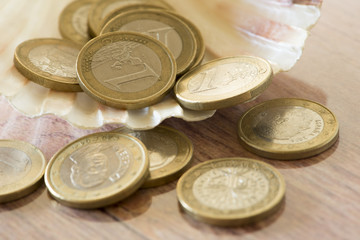 Several official currencies of the European Economic Union
