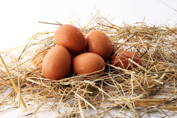 Egg. Fresh farm eggs on a white background.